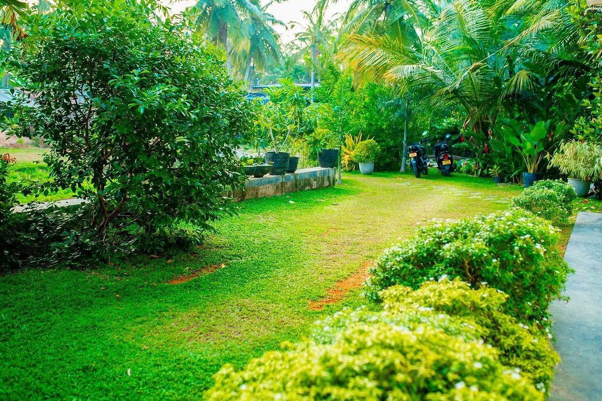 Green lawn and clipped hedges in the villa garden