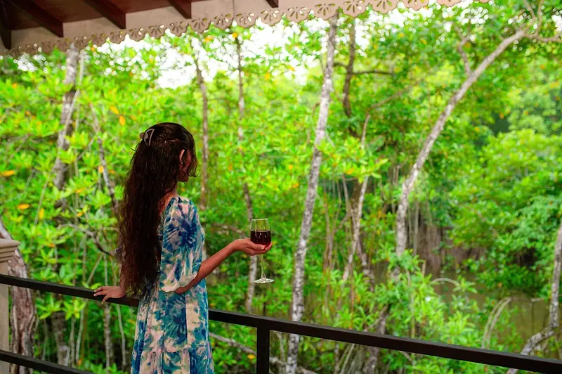 The mangrove canopy seen from the upper veranda